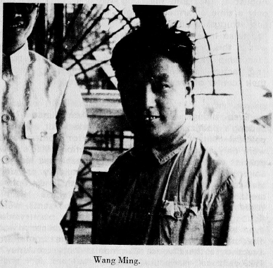 Wang Ming